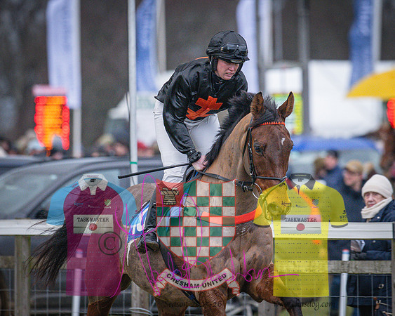 Race 5 - PPORA members conditions for Novice Riders (14 of 213)