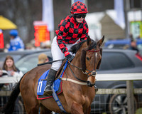 Race 5 - PPORA members conditions for Novice Riders (19 of 213)