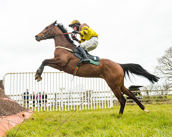 Race 6 - 6 year old and over Maiden 2m4f (29 of 62)
