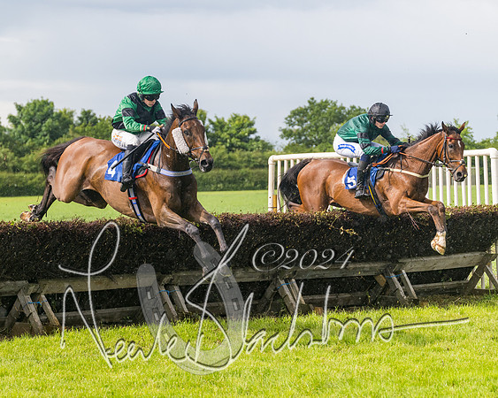Race 4 - Mixed Open (147 of 591)