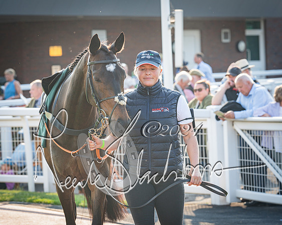 Race 4 - The Jonathan Neesom memorial open Hunter’s steeplechase 3m2f 70y (9 of 167)