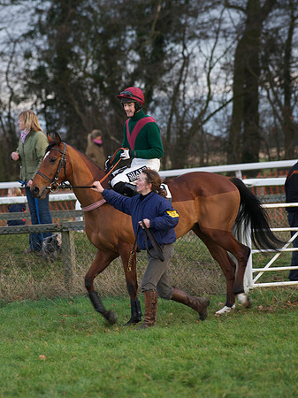 CHHC - Young Horse Maiden Division 2