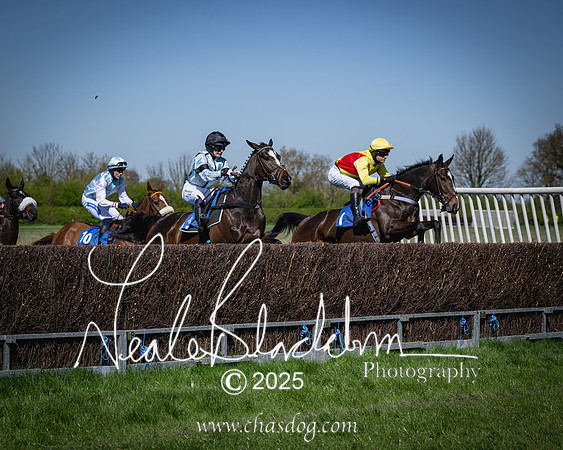 Race 2 - The Maiden (49 of 118)