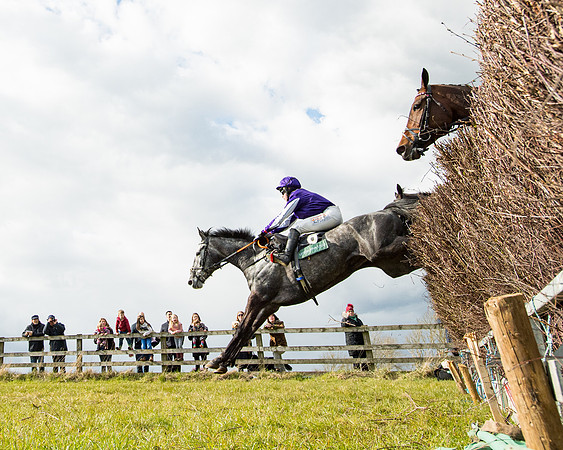 Race 5 - Restricted  (20 of 118)