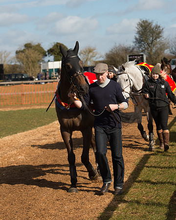 Race 1 - 4-5-6 Maiden (30 of 119).jpg