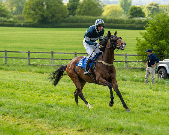 Race 6 - Maiden [2m4f] (21 of 135)