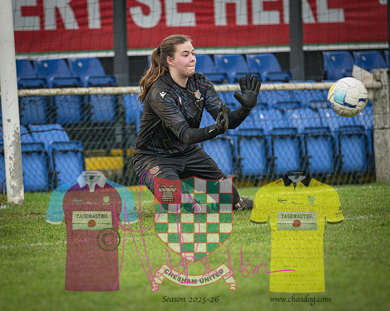 Chesham Utd 1 v 2 Dulwich Hamlet (25 of 361)
