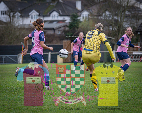Chesham Utd 1 v 2 Dulwich Hamlet (39 of 361)