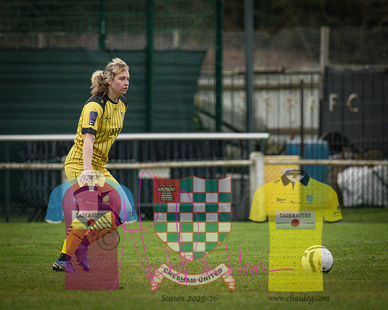 Chesham Utd 1 v 2 Dulwich Hamlet (48 of 361)