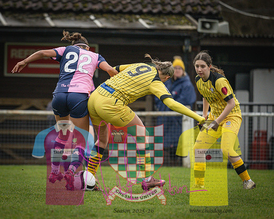 Chesham Utd 1 v 2 Dulwich Hamlet (59 of 361)
