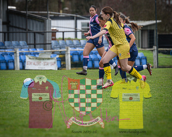 Chesham Utd 1 v 2 Dulwich Hamlet (62 of 361)