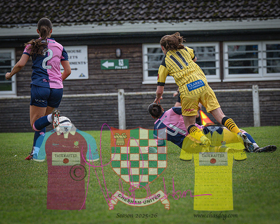 Chesham Utd 1 v 2 Dulwich Hamlet (100 of 361)