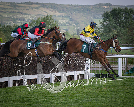 Race 2 - The Venatour sports travel intermediate point to point hunters’ steeplechase 5 year olds and over 3m2f (46 of 163)