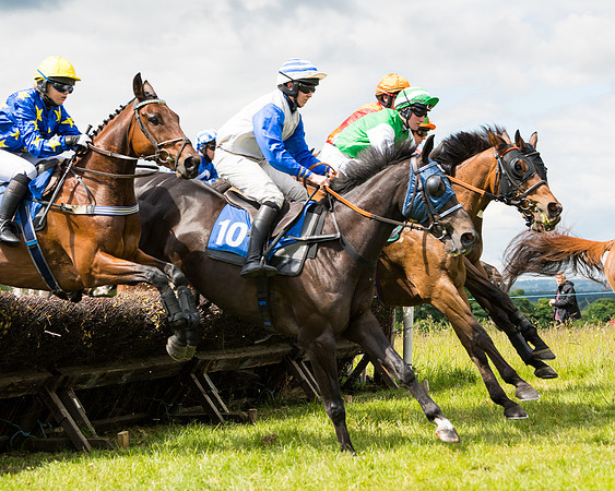Race 2 - PPORA Novice Riders  (93 of 187)