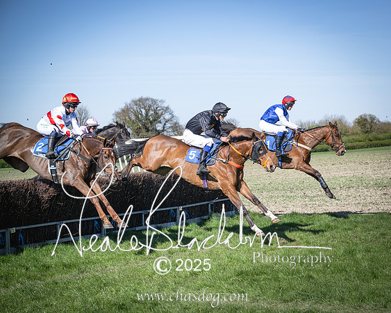 Race 6 - Veteran horse (62 of 109)
