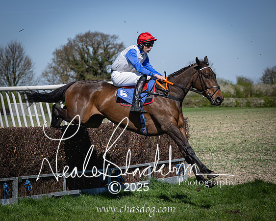 Race 2 - The Maiden (63 of 118)-2