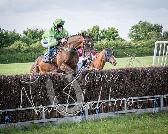Race 6 - Thorn Plant Hire Maiden Race (69 of 129)