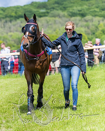 Race 3 - Conditions (17 of 367)