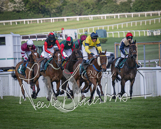 Race 2 - The Venatour sports travel intermediate point to point hunters’ steeplechase 5 year olds and over 3m2f (29 of 163)