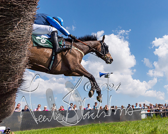 Race 2 - The Maiden  (297 of 442)