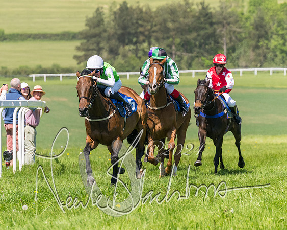 Pony Races  (69 of 141)