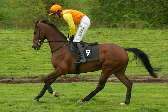 Race 7 - 2m4f Maiden 25