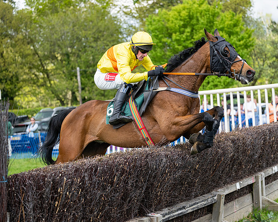 Race 5  - Maiden  (67 of 84)