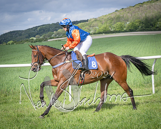 Race 4 - The Dickie Lim Mixed Open Race (26 of 101)