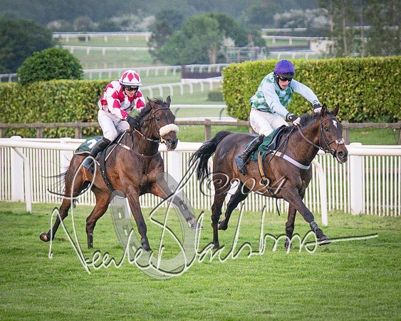 Race - 7 The Royal Gloucester Hussars Open Hunter's steeplechase 2m4f 127y (102 of 210)