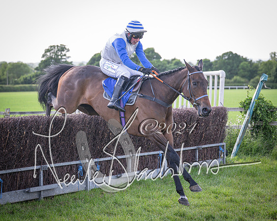 Race 6 - Thorn Plant Hire Maiden Race (89 of 129)