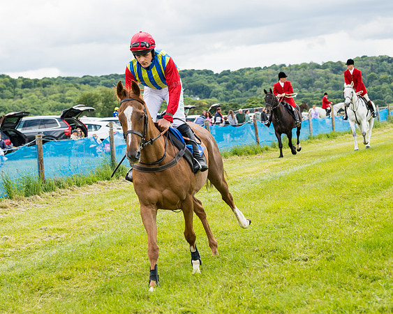 Race 2 - PPORA Novice Riders  (38 of 187)