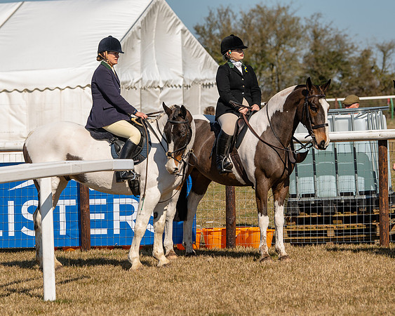 Hunt Horses annd Hound parade (21 of 44)