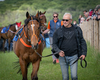 Race 4 - The Dickie Lim Mixed Open Race (8 of 101)