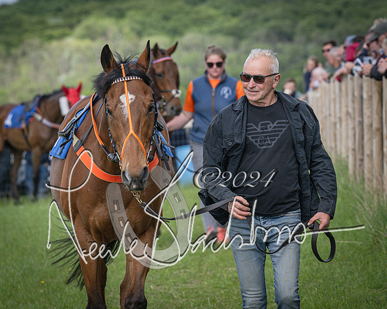 Race 4 - The Dickie Lim Mixed Open Race (8 of 101)