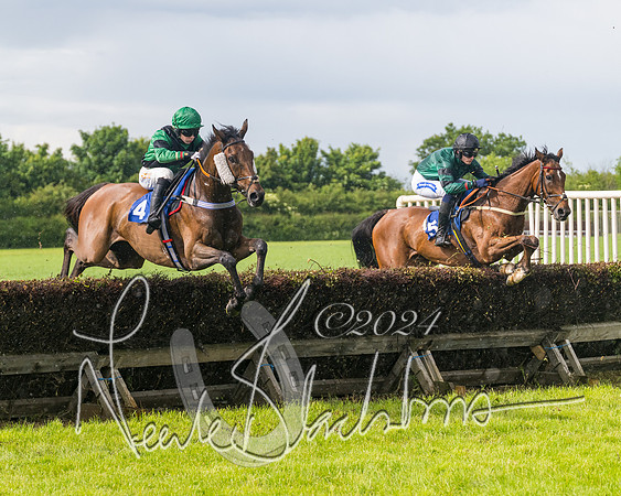Race 4 - Mixed Open (146 of 591)