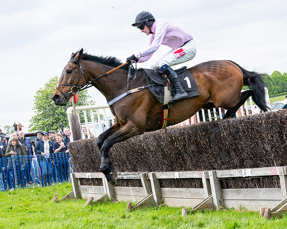 Race 2 - Veteran Horse (54 of 80)