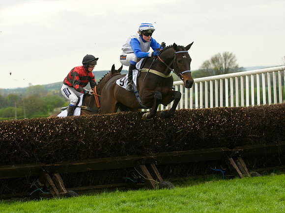 Race 4 - Nov-vets 31