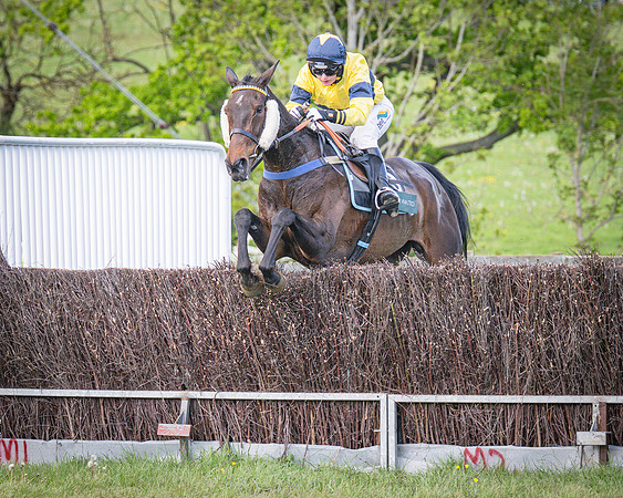 Race 6 - The sir James Shuckburgh Restricted race (47 of 85)