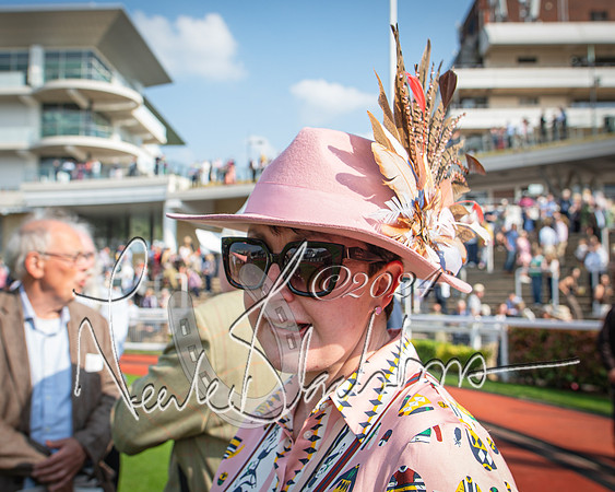 Race 1 - The Bottle Green Open Hunters steeplechase 2m62y (88 of 93)