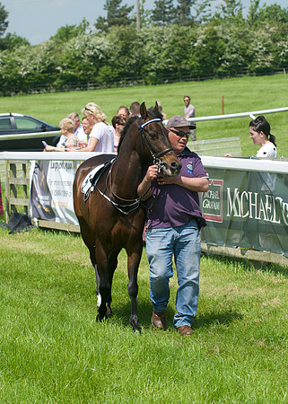 PN2_9079