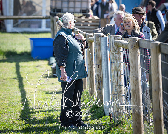 Race 4 - Mixed Open (148 of 168)