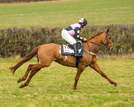 Race 3 - Restricted  (27 of 100)