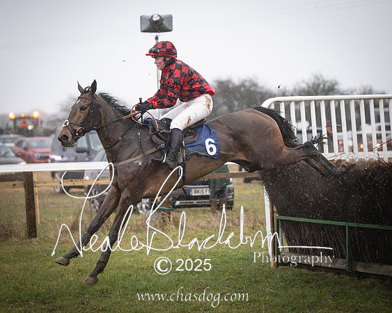 Laurel Girl - Madeline Plumb-7