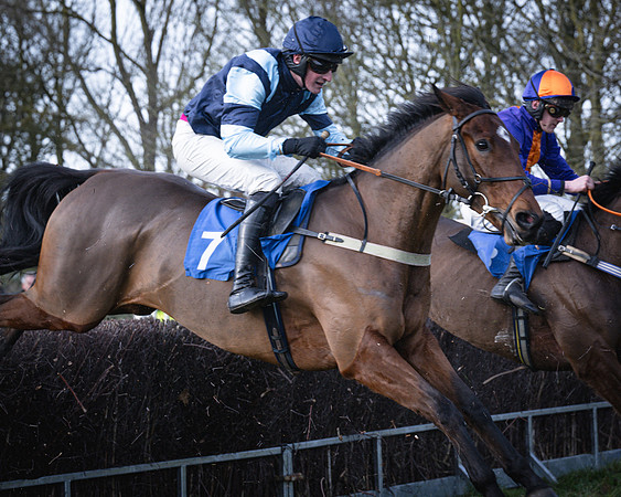 Race 2 - Maiden (87 of 145)