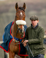 Race 1 - The Four and Five years olds Maiden race over 2m 5f (14 of 105)