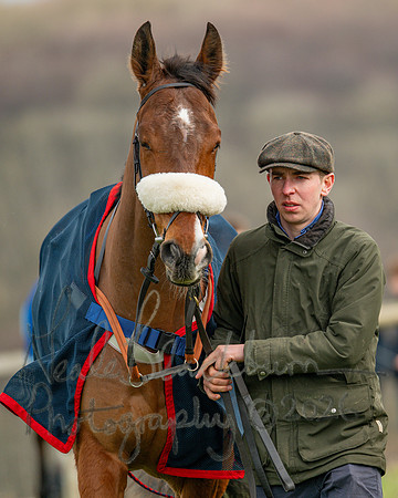 Race 1 - The Four and Five years olds Maiden race over 2m 5f (14 of 105)