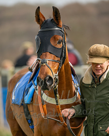 Race 1 - The Four and Five years olds Maiden race over 2m 5f (5 of 105)