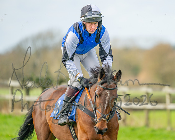 Race 1 - The Four and Five years olds Maiden race over 2m 5f (21 of 105)