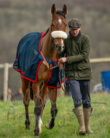Race 1 - The Four and Five years olds Maiden race over 2m 5f (13 of 105)