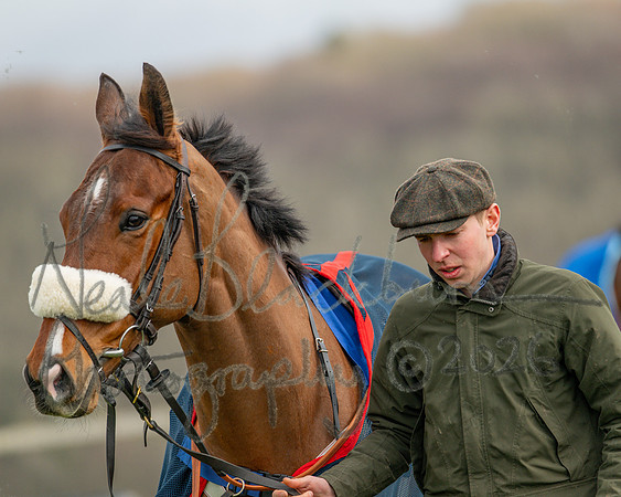 Race 1 - The Four and Five years olds Maiden race over 2m 5f (15 of 105)